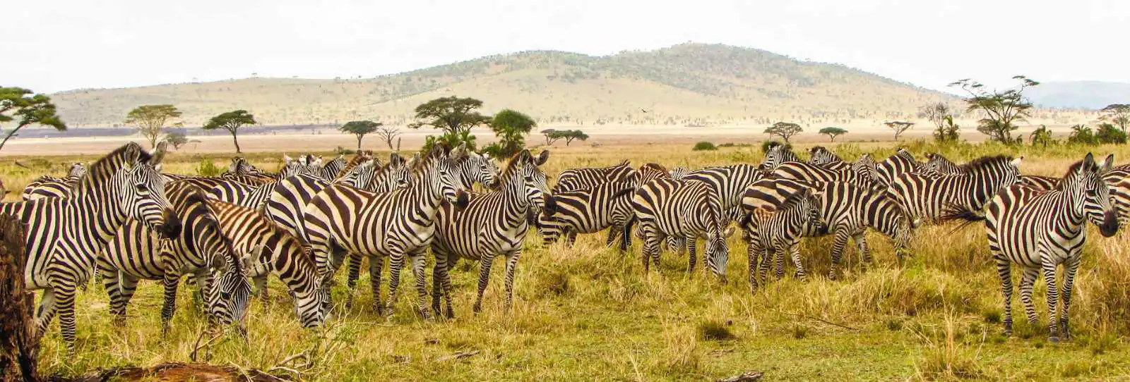 Holiday in Kenya